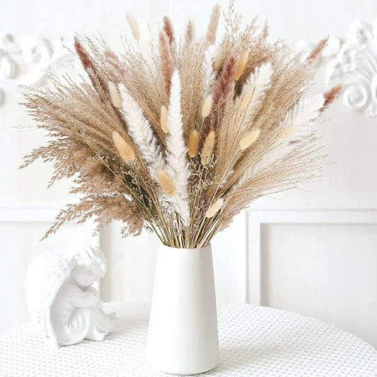 Dried-Look Pampas Grass Stems, 10-Pack, Natural product photo